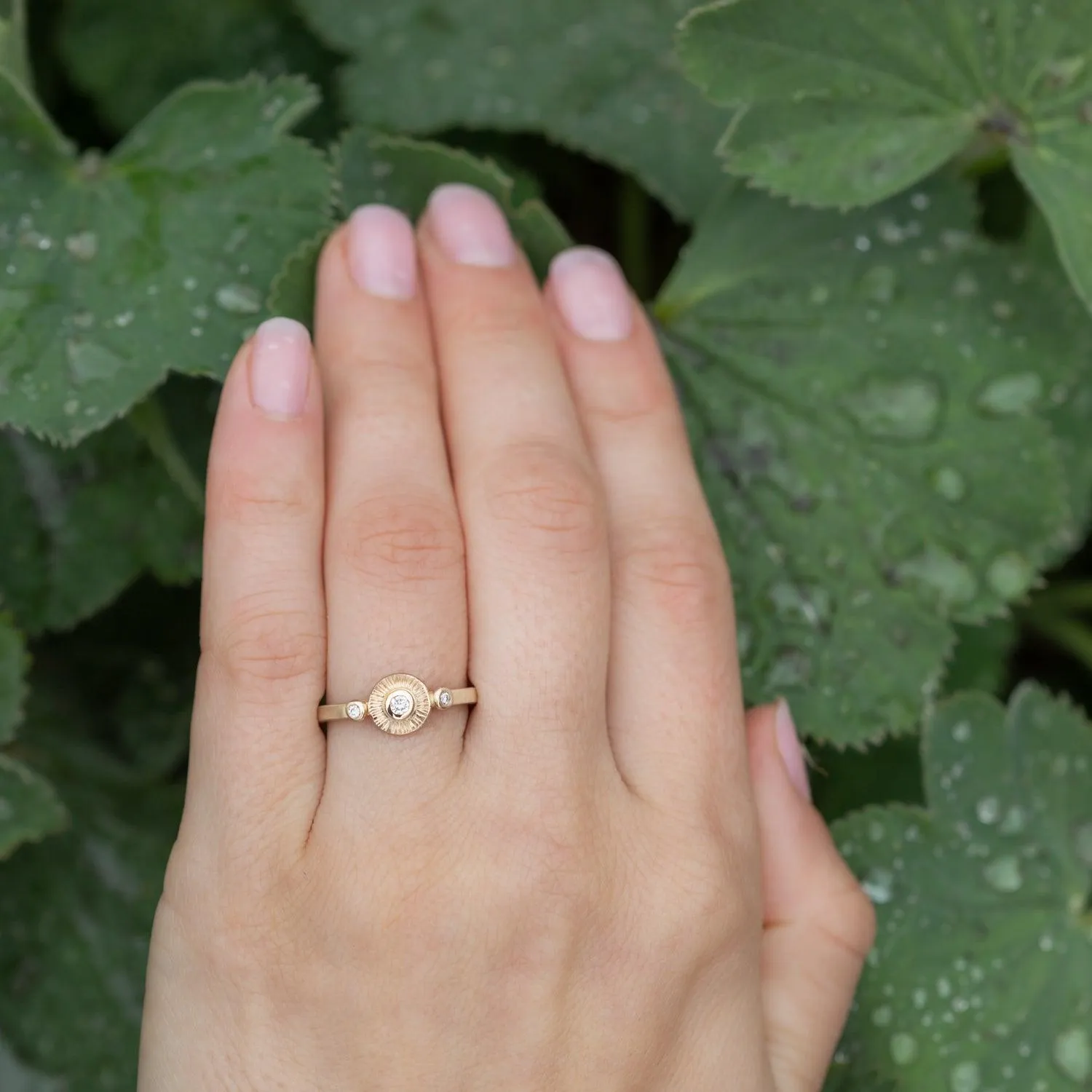 Solaris Ring